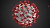 Please help to stop the spread of Coronavirus 