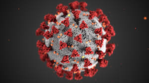 Please help to stop the spread of Coronavirus 